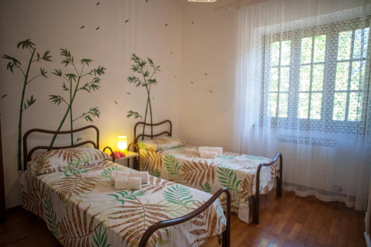 Tenerisognidori Casa de Férias Camaiore